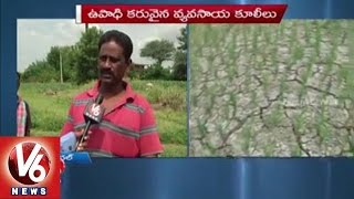 Farmers in concern with deficit of rainfall in this Kharif Season | Warangal (07-08-2015)