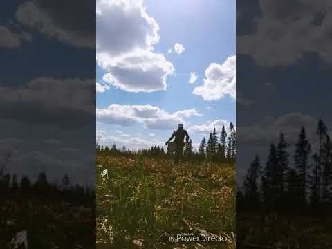 download lagu mp3 mp4 Madd Tree, download mp3 Madd Tree free download, download mp3 Madd Tree