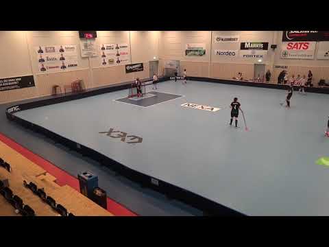 171220 Damer Div.1 Lindås IBK - Kärra IBK (13-4) Per1b