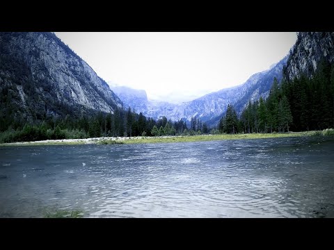 The Midnight Reservoir (SCP: Missing in Action OST)