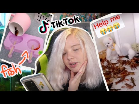 TikTok Animal Abuse Has Gone Too Far