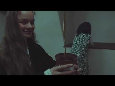 De schaduwen van Radovar - boektrailer 2020