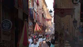 Procesión Virgen Desamparados Valencia 2025
