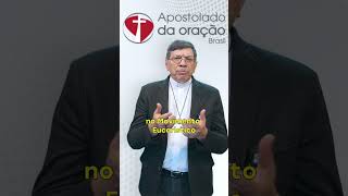 Faça parte do Apostolado da Oração com a Campanha Amigos do Apostolado da Oração!!
