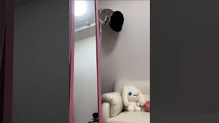 カガミさん、ナイスです