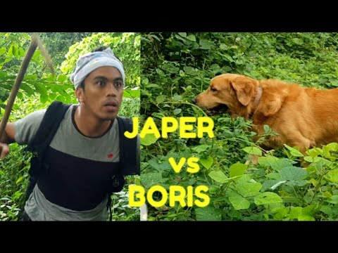 Japer Sniper VS. Boris  the weirdest dog hunter November 4, 2019