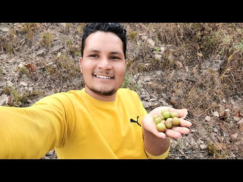 Happy Amala (Chocolate) Day😀||@AmritPaudel99