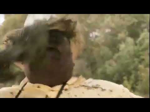 Mr. Bones - Fat one go down!