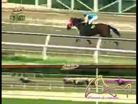 LA RINCONADA 7 CARRERA, DOMINGO 05 DE JULIO DEL 2015