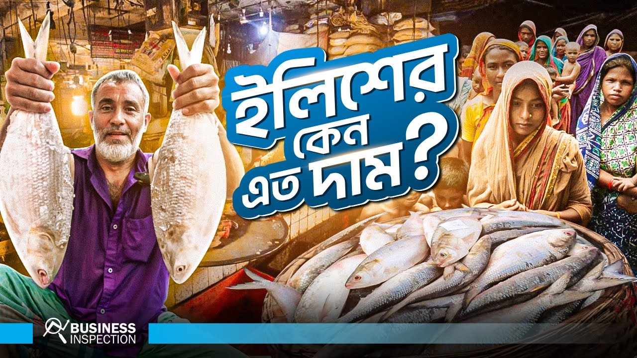 অর্থনীতিতে ইলিশের অবদান | Economy of Ilish | Hilsa Fish