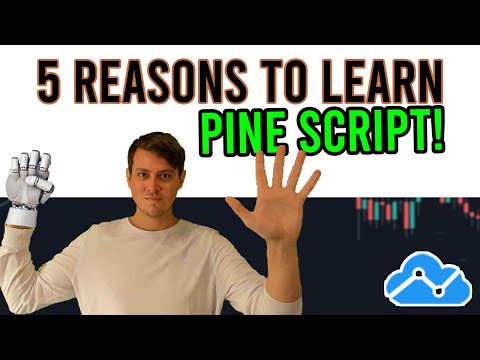 Who Am I • Pine Script Mastery • Zen The Art of Trading