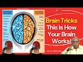 Brain Tricks, This Is How Your Brain Works! - Dr. B M Hegde