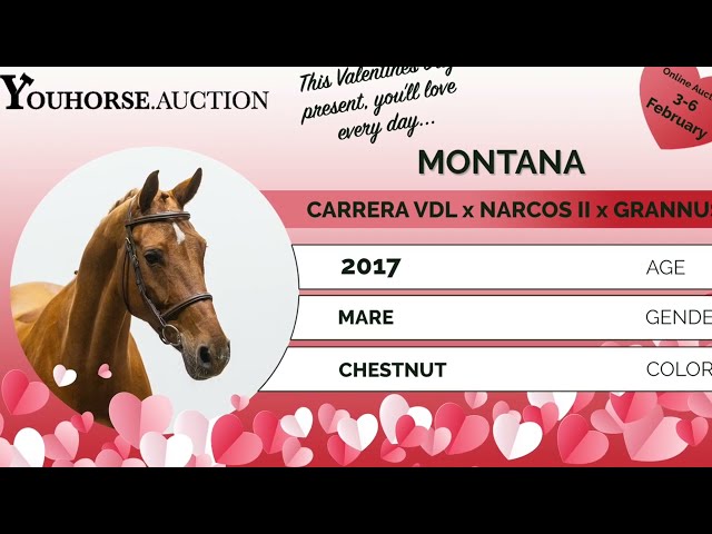 Montana