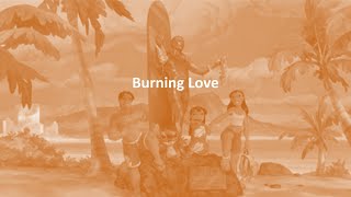 Burning Love lyrics