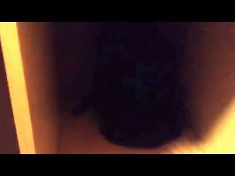 Me kat doet raar ( GEK )