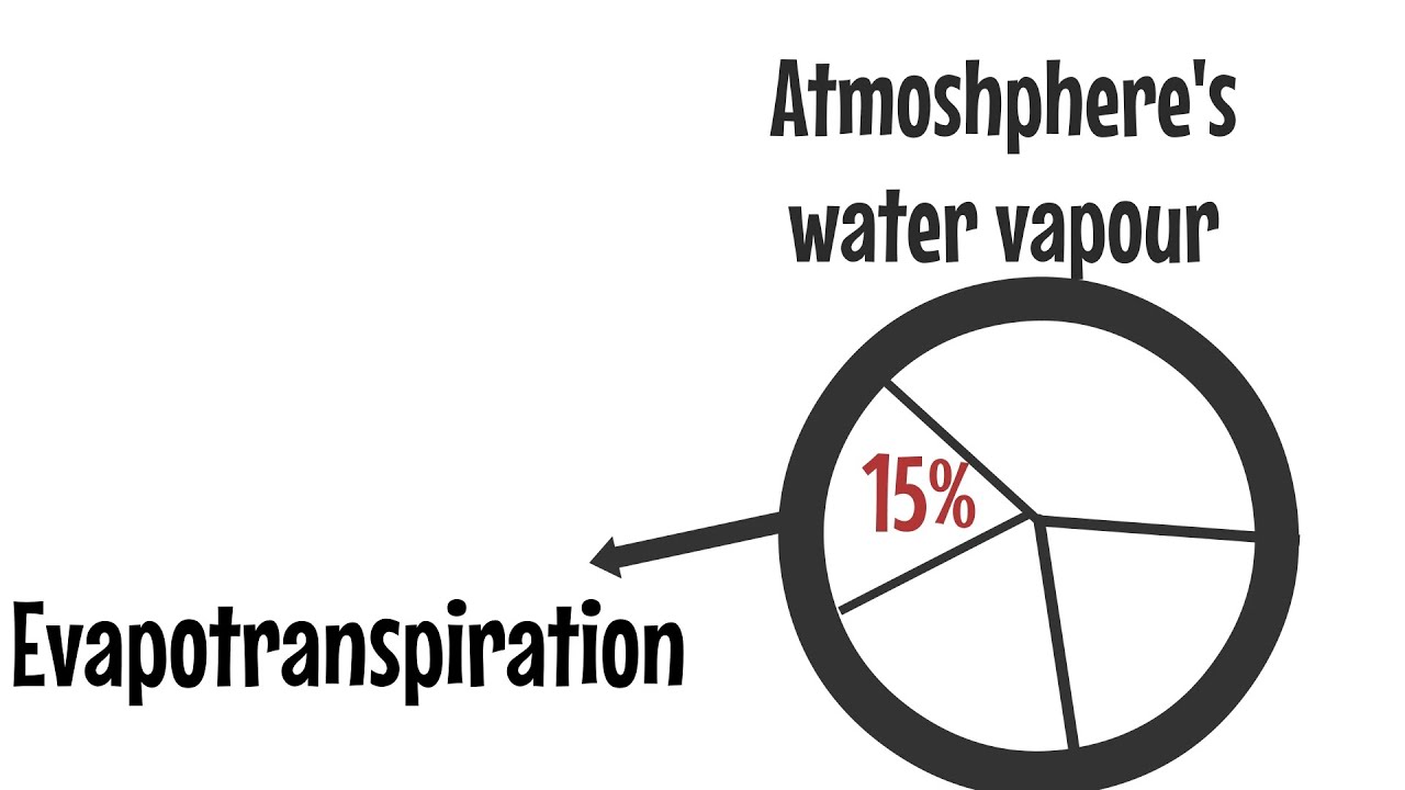 Understanding plant water use - Evapotranspiration