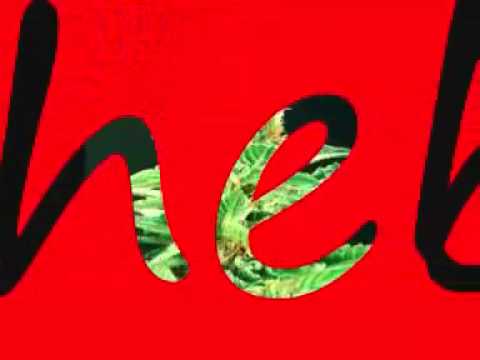 Bloedhond ft Picasso - We hebben honger