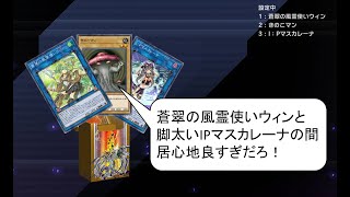 きのこマ～ンきつきつ（直球）ビートのあるべき姿