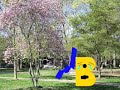 PBS 1971 P Head Ident Bloopers Number 2