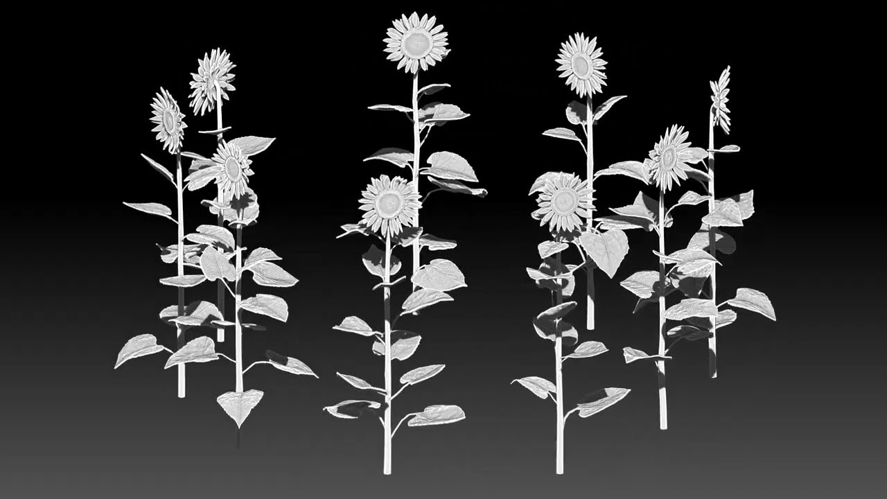 Sunflower field for 3d printing 3D Print Model