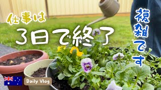 ようやく始めた仕事、3日で終了。オーストラリア在住の違和感