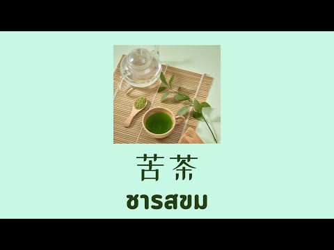 [THAISUB | PINYIN] 胡星冉 - 苦茶 ชารสขม | เพลงจีนแปลไทย