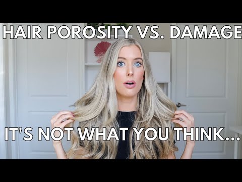 What Is Porosity? High Porosity Hair Products vs. Low...