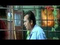 Brahmanandam Sharpens His Knife To Kill Nagarjuna NavvulaTV