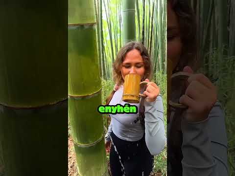 Ha elvesznél egy erdőben a bambusz megmenthet #survival