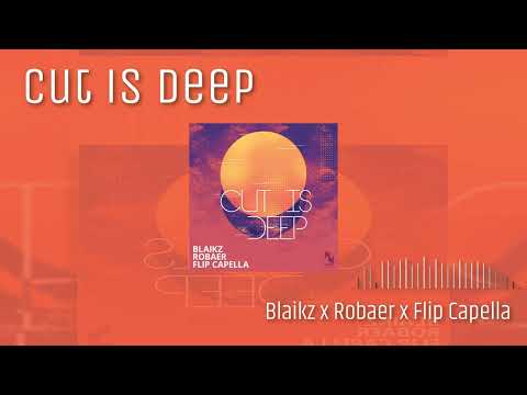 Blaikz x Robaer x Flip Capella - Cut Is Deep