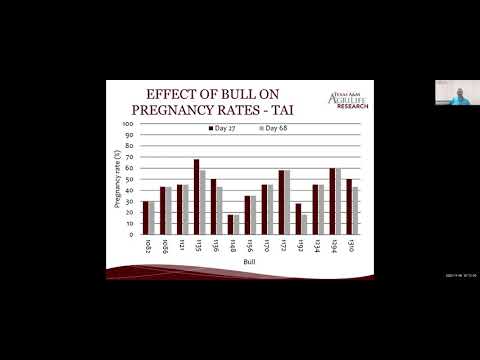 The Ultimate Value of Breeding Soundness Evaluations - Dr  George Perry