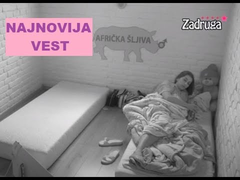 Dalila OSTALA SAMA - NEMA MUŽA NI LjUBAVNIKA - SPAKOVAO se Cari NAPUSTIO SVE #zadruga #zadrugainfo