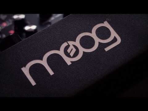 Return Trip Effect - Introducing Moog Matriarch (No talking)