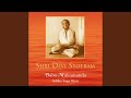 Shri Devi Stotram