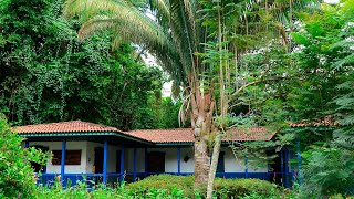 JARDÍN BOTÁNICO DEL QUINDÍO