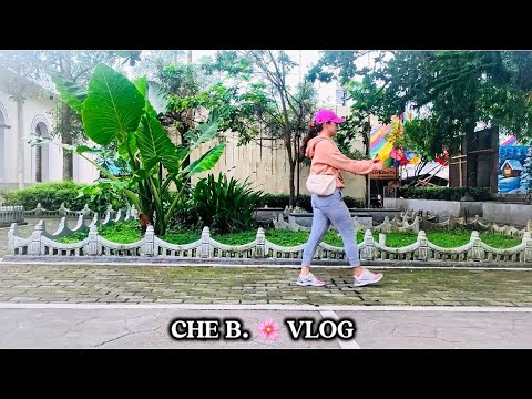 One Week Budget Shopping: How much I Spent| Morning Walk and Cooking