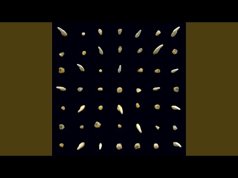 Video thumbnail for Looking Like Meat