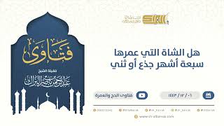 هل الشاة التي عمرها سبعة أشهر جذع أو ثني- الشيخ عبدالرحمن البراك (9530) image