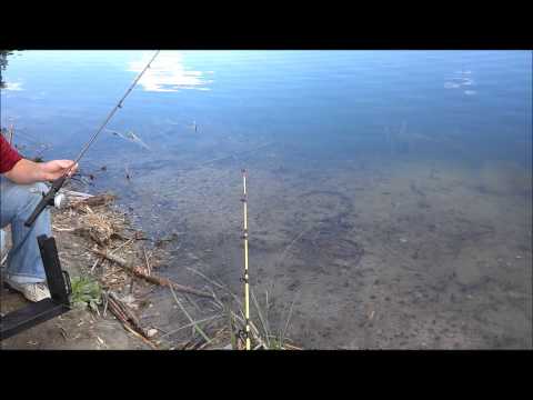 Fishing Trip: 8/27/13 Willow Pond Catfishing