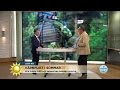 Värnplikten återinförs Beslut Idag Nyhetsmorgon TV4