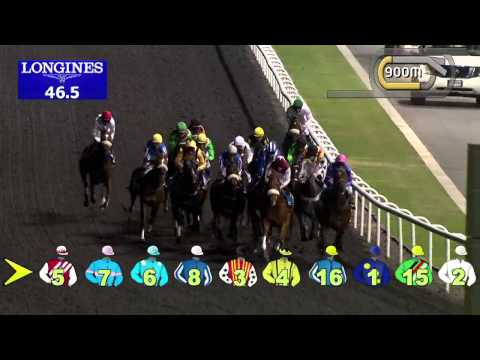 02.01.2014 Meydan (Dubai-UAE) 1.Race The Meydan Hotel - Maiden 1.600 m