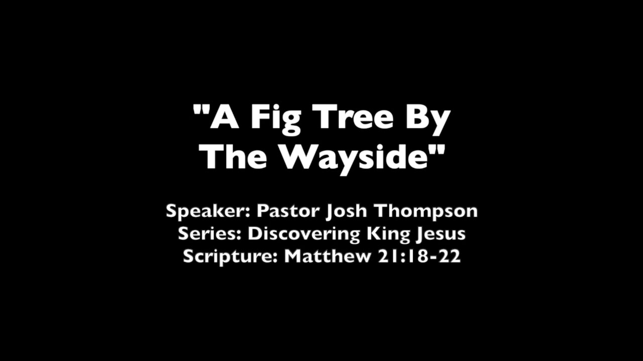 A Fig Tree By The Wayside