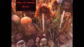 WALL OF VOODOO - There's Nothing On This Side (1982)
