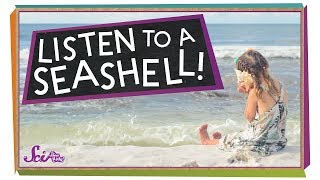 What Do You Hear in a Seashell? gameplay video by Mgraves, 3:22 duration