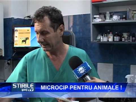 MICROCIP PENTRU ANIMALE !