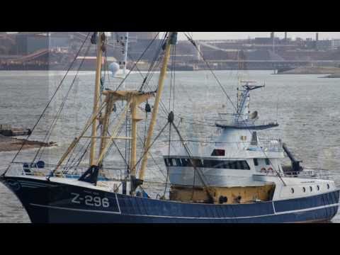 Visserijvloot Arnemuiden & Vlissingen