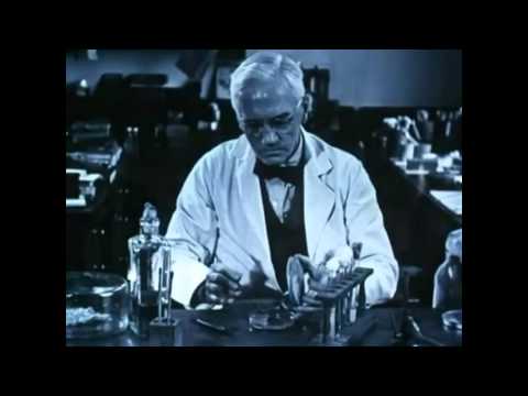 How Alexander Fleming Accidentally Discovered Penicillin