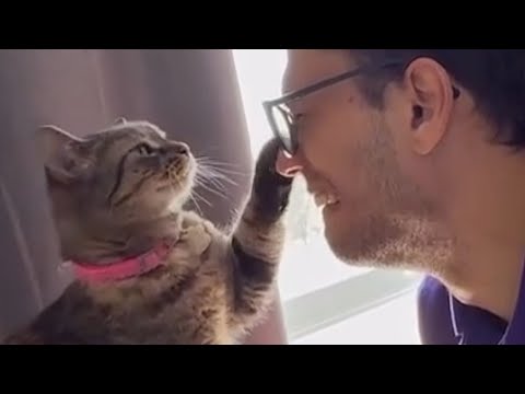 Cat keeps hugging for heartbreaking reason