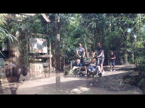 Mais on vient de là !