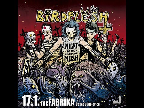 Birdflesh, MC Fabrika, České Budějovice, 17 1 2019, Foto Syky